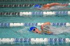 Swimming & Diving vs Babson  Swimming & Diving vs Babson College. - Photo by Keith Nordstrom : Wheaton, Swimming